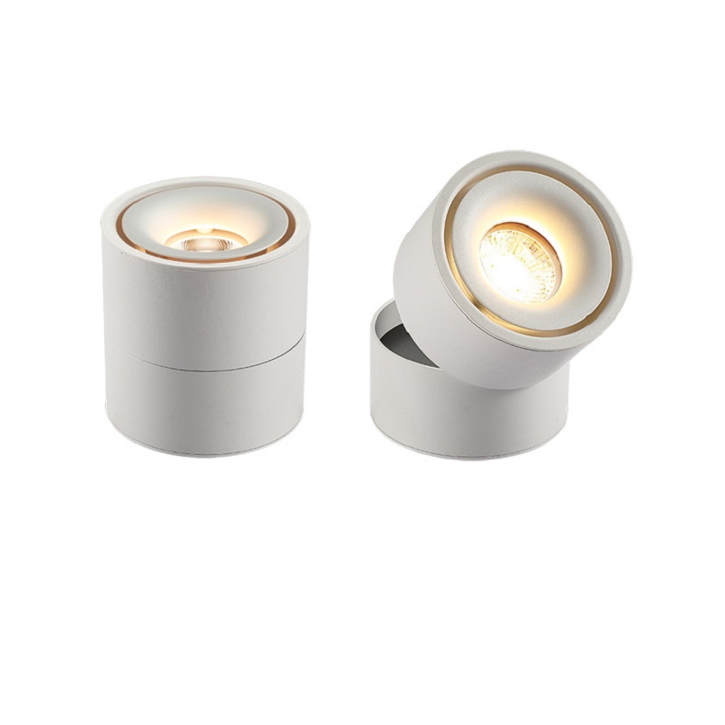 LED Down Light
